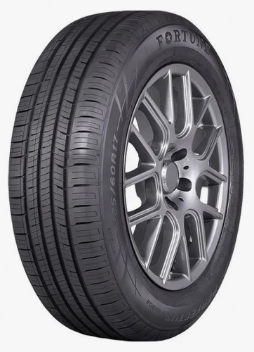 185/55/15 Fortune Perfectus FSR-602 82V БК